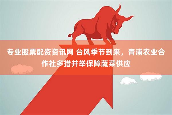 专业股票配资资讯网 台风季节到来，青浦农业合作社多措并举保障蔬菜供应