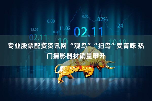 专业股票配资资讯网 “观鸟”“拍鸟”受青睐 热门摄影器材销量攀升
