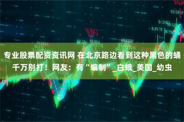 专业股票配资资讯网 在北京路边看到这种黑色的蛹千万别打！网友：有“编制”_白蛾_美国_幼虫